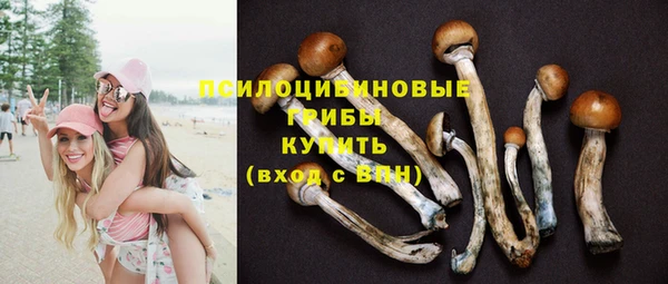 прущие крисы Абаза
