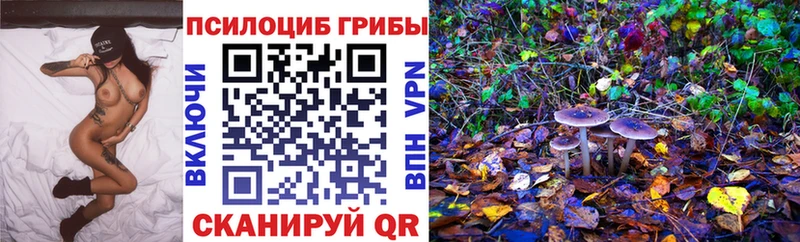 цены наркотик Осташков Псилоцибиновые грибы Psilocybine cubensis
